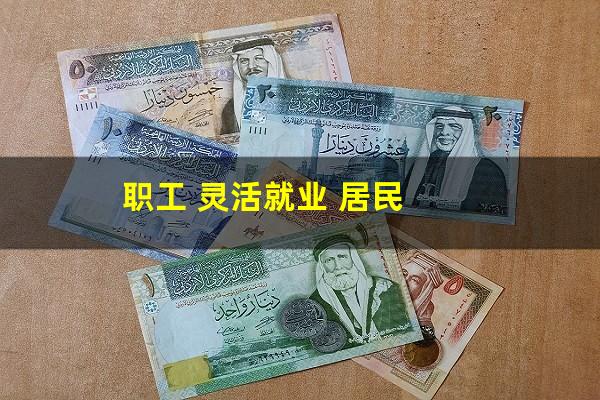 职工 灵活就业 居民